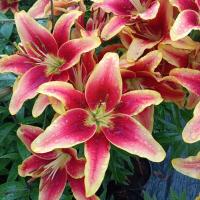 eb24e8fb-cdc3-11f0-891e-246e9611e8f6-1