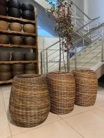 f47069f5-6c44-11f0-891b-246e9611e8f7-1