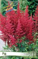 8bc2a7da-dfd9-11ef-8915-246e9611e8f5-1