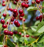 0d3c05a5-cc0c-11ef-8915-246e9611e8f5-1