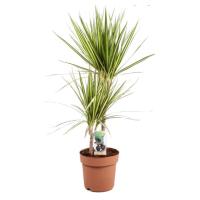 564f5e76-8f9b-11ef-8912-246e9611e8f7-1