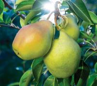 9dd39eac-6412-11ee-ae0a-001e673ebdea-1