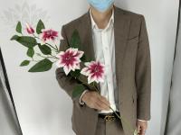 76309c8e-5a65-11f0-891b-246e9611e8f7-1