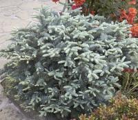 600fbad4-d4cd-11f0-891e-246e9611e8f6-1