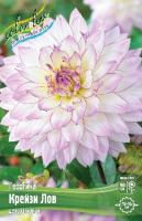 46a3957c-5871-11e1-960d-00500454e615-1