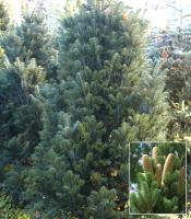 0071deef-e5dd-11ee-890a-246e9611e8f5-1