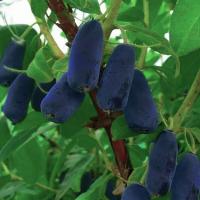 7edece28-b8ba-11f0-891d-246e9611e8f7-1