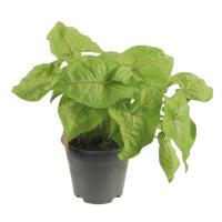 84b66466-4f30-11ef-8910-246e9611e8f6-1