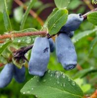 e3a2ec5c-b8bd-11f0-891d-246e9611e8f7-1