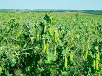 287f8406-ef5b-11e6-bb6f-001e673ebdea-1