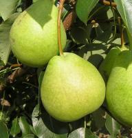 f44840f4-29c4-11f0-8918-246e9611e8f6-1 f44840f4-29c4-11f0-8918-246e9611e8f6-1