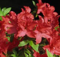 a9539ffb-ceb2-11f0-891e-246e9611e8f6-1