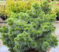 044779de-d505-11f0-891e-246e9611e8f6-1