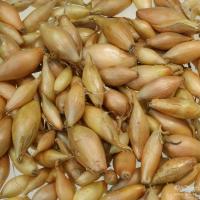 3b5163a3-9eeb-11e4-8f7c-001e673ebdea-1