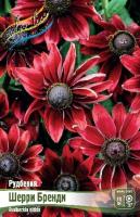 7db090e4-6e78-11ec-8bcd-005056c00008-1