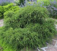 30e56d01-d1e1-11f0-891e-246e9611e8f6-1