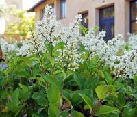 992c44ef-1145-11f0-8918-246e9611e8f6-1