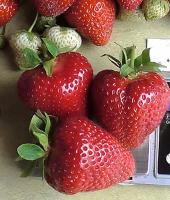 8ea012a6-4150-11f0-8919-246e9611e8f7-1