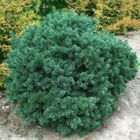 0c3ffe9f-d4ee-11f0-891e-246e9611e8f6-1