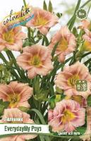 eac83e11-3aa1-11e9-b36c-005056c00008-1