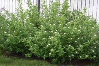 4ddc59b3-4f0a-11ef-8910-246e9611e8f6-1