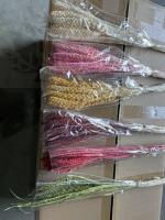 bdf25fda-9cfb-11ef-8912-246e9611e8f7-1