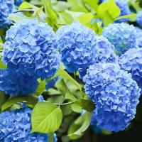 f43c8679-55aa-11f1-892a-246e9611e8f6-1