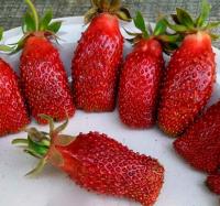 c695edd2-1de7-11f1-8926-246e9611e8f6-1