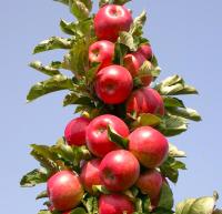 cd524afb-be04-11f0-891d-246e9611e8f7-1