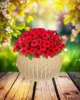 0237e9bb-da86-11f0-891e-246e9611e8f6-1