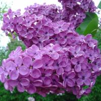 0c2f2f98-2c3c-11f1-8926-246e9611e8f6-1