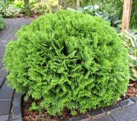 ac83fed8-ecdc-11ee-890b-246e9611e8f5-1