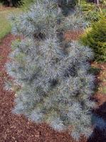 4ed4ccda-c351-11ef-8915-246e9611e8f5-1