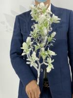 a66510af-caa2-11f0-891e-246e9611e8f6-1