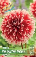 08fa3acf-2ec7-11e0-9fb4-00500454e615-1