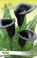 eda05d9f-7211-11ec-8bcd-005056c00008-1