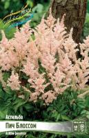 a8ce74c7-2c07-11df-8832-0019dbe91ea3-1