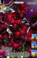 f09fefda-373b-11eb-b90a-005056c00008-1