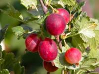 c8cdc32e-bad8-11f0-891d-246e9611e8f7-1