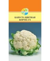 2d816bf0-54e0-11eb-880e-005056c00008-1