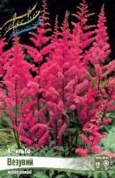 a8ce74bf-2c07-11df-8832-0019dbe91ea3-1