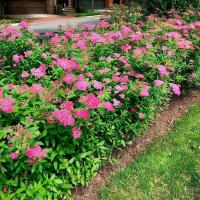 a67b6024-113c-11f0-8918-246e9611e8f6-1