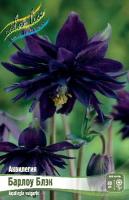 e8adc619-4c7f-11e0-99a9-00500454e615-1