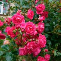 774f770f-3621-11ef-890e-246e9611e8f7-1