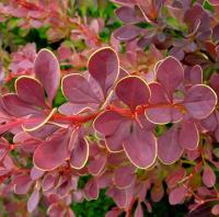 05eeedbc-ceb4-11f0-891e-246e9611e8f6-1