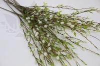 483d2db9-caa5-11f0-891e-246e9611e8f6-1