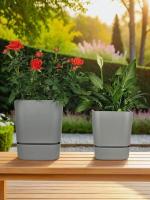 4de12964-da7f-11f0-891e-246e9611e8f6-1