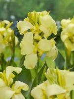 72e12768-e787-11e5-9ba7-001e673ebdea-1