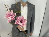 59e83672-5a62-11f0-891b-246e9611e8f7-1