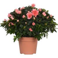 4bf86023-7e0f-11ee-ae0a-001e673ebdea-1